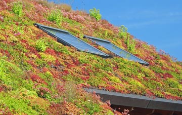 Duror living roof systems