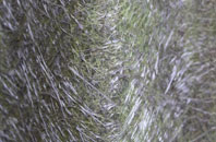 Duror fibreglass roof work